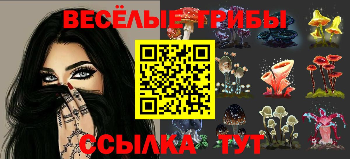 Псилоцибиновые грибы Psilocybe Барабинск
