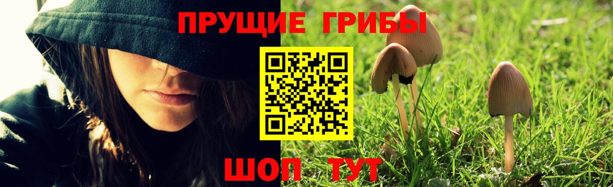 Барабинск  Псилоцибиновые грибы ЛСД  Галлюциногенные грибы мицелий  Вход с VPN 